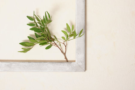 plant in a wooden vintage frame on a background textured background copy space spring and summer...