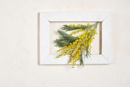 mimosa in a wooden vintage frame on a background textured background copy space spring and summer mood concept. mother's day cardの写真素材