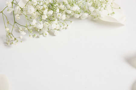 gypsophila on gray background copy space top view summer mood conceptの写真素材