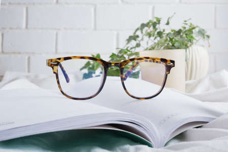 trendy eye glasses, aroma candle, a flower in a pot and an open blank notebook