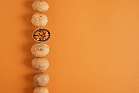 walnuts pattern on brown background, top view copy space walnuts in shell and without shell in a rowの写真素材
