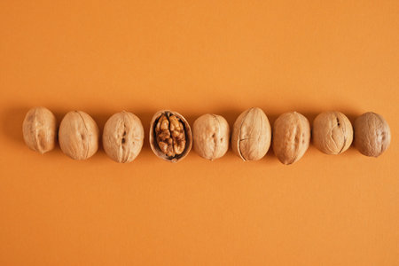 walnuts pattern on brown background, top view walnuts in shell and without shell in a rowの写真素材
