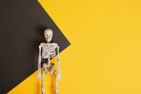 plastic decorative skeleton on black and yellow background copy space, creative background mock up blank for halloween minimalismの写真素材
