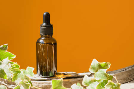 Glass cosmetic bottle with a dropper on a log on a brown background with bright sunlight. The concept of natural cosmetics, natural essential oilの写真素材