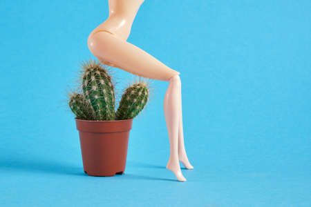 doll sits on a cactus on a blue background, hemorrhoids concept, problems with the anus copy space