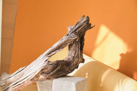 Empty podium for products presentation. empty concrete podium for product on wooden driftwood background, brown background mock upの写真素材