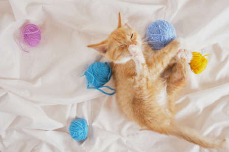 cute red kitten playing withballs of thread on white bed top viewの写真素材