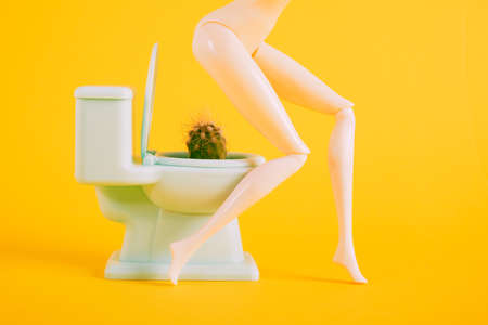 hemorrhoids concept, doll sits on a miniature toilet with a cactus inside yellow background copy spaceの写真素材