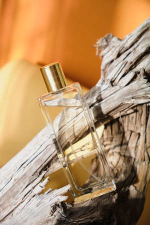 glass bottle of perfume on a driftwood, natural shade background, perfume with woody notesの写真素材