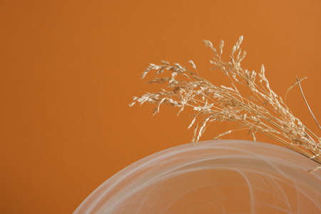 glass arch podium and blade of grass on brown background Background for cosmetic products of natural color.の写真素材
