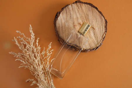 dry herb and rectangular bottle of perfume with a gold cap on a round saw cut of a tree podium on a brown background, mock up transparent bottle of perfumeの写真素材