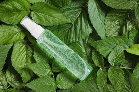Natural skincare beauty product concept, cosmetic bottle with green gel with bubbles inside on green leaves background, Blank label for branding mock-up.の写真素材