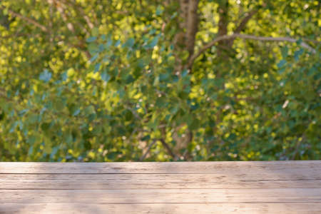 wooden plank surface on green natural background copy space, summer sun light