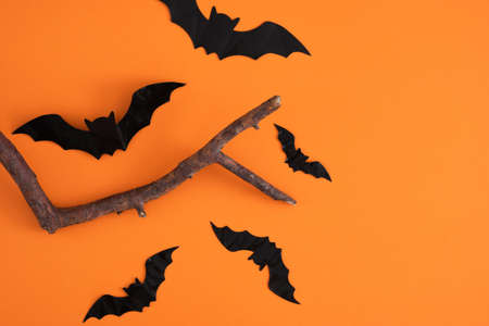 halloween decoration concept branch and decorative black bats on orange background, halloween...