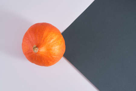 pumpkin on a dark green background autumn, autumn season conceptの写真素材
