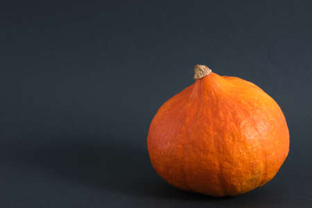 pumpkin on a dark green background autumn, autumn season conceptの写真素材
