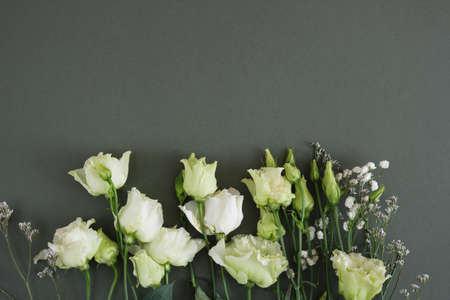 Lemon white and green roses on a dark green background, postcard, copy space, top view, mock up flat layの写真素材
