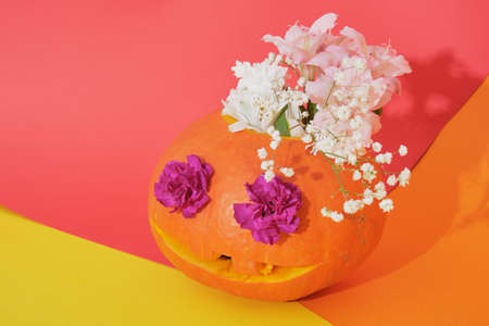 pumpkin jack lantern with flowers inside on colored background, halloween concept, day of the dead background flowers in the eyes of a pumpkinの写真素材