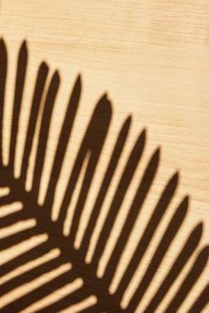 shadow of a palm tree branch on a wooden surface, texture background mockup for presentation of your...