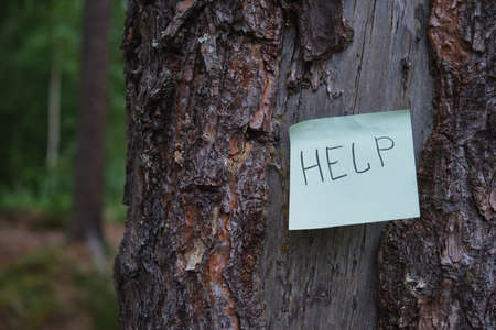 inscription HELP on a green sticker glued to an old tree in the forest. get lost in the woods, help...