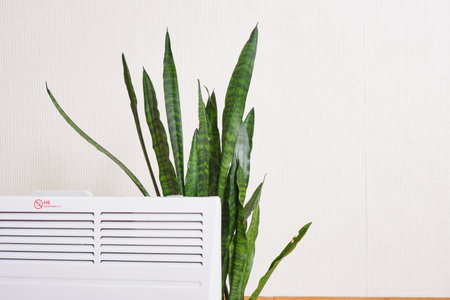 Using heater at home in winter. Heating season concept sansevieria flower and heater, dry air harm conceptの写真素材