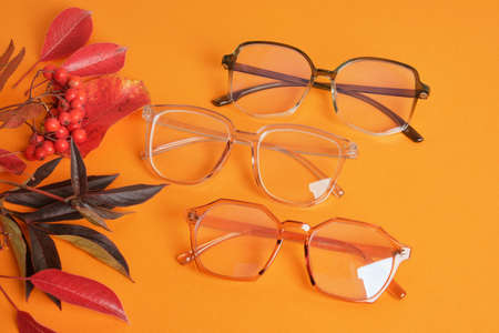 several different trendy fashion eye glasses nad red autumn leaves on orange background copy space top view, autumn sale, optic store cocneptの写真素材