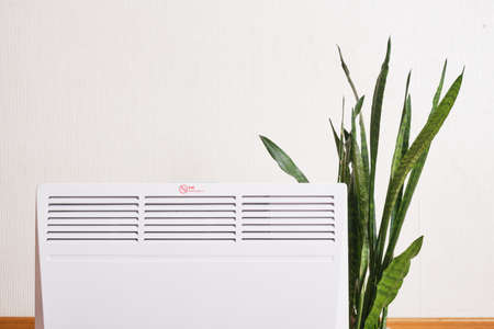 Using heater at home in winter. Heating season concept sansevieria flower and heaterの写真素材