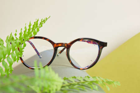 fern and eye glasses on rolled green paper, vision test concept, beautiful stylish fashion...