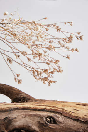 Mock up with wooden log, dry flowers for cosmetics on gray background. presentation of organic cosmetic products. Natural organic cosmetic conceptの写真素材