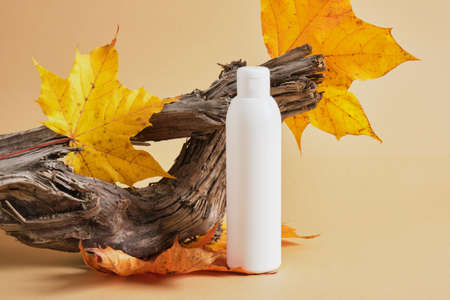 white mock up bottle without label for cosmetics on the background of driftwood and autumn leaves, beige background, natural cosmetics concept, autumn skin careの写真素材