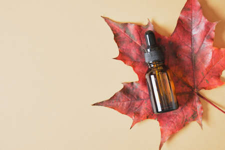 amber glass dropper bottle with pipette and red autumn maple leaf on beige background top view copy spaceの写真素材