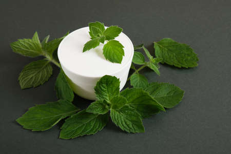 cosmetic white cream jar and fresh mint on dark green background. Organic cosmetics concept. Cosmetic container mockup without label Natural skincare product.の写真素材