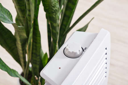 Using heater at home in winter. Heating season concept sansevieria flower and heater, dry air harm...