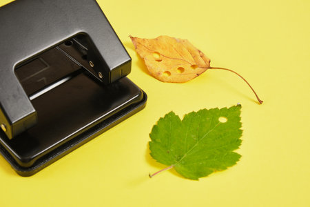 hole punch and autumn leaves on a yellow background, eco confetti from natural materials, a holiday without environmental pollutionの写真素材