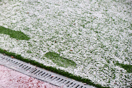 football field, lawn under snow, first snow on the grass, football field markings, footprints in the...