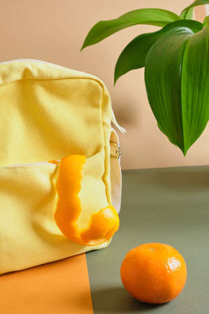 a bag made of waste fruits, cloth made of leaves and unusable food, yellow cloth bag and orange peel...