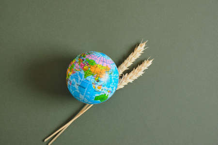 world globe ball and branches of rye on blue background copy spaceの写真素材