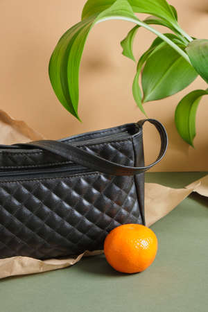 bag and paper, Tyvek non-woven material for the manufacture of various household items, leather from paper, nature protection, vegan leather, no waste production conceptの写真素材