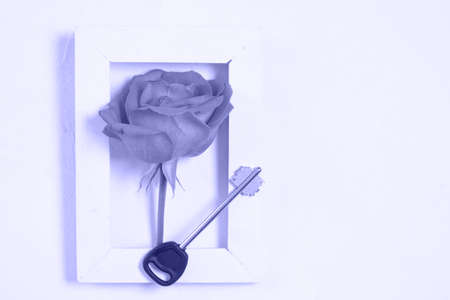 rose flower and key in frame on beige background copy space top view very peri color trend 2022の写真素材