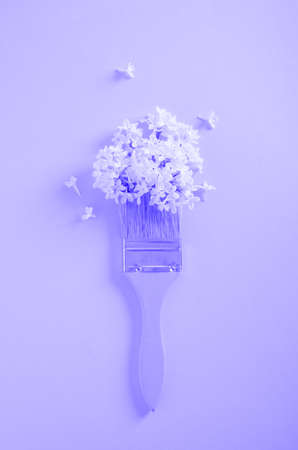 wooden yellow paint brushes and white flowers of lilac on a yellow background nature art concept copy spaceの写真素材