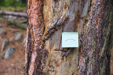 sad emoticon on a sticker glued to an old tree in the forest. get lost in the woods, help those lost in the woods, a dangerous hike in the wild forestの写真素材