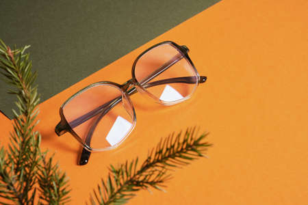 eye glasses on orange and green background with fir branch, winter trends, fashion eyeglassesの写真素材
