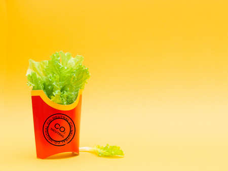 carbon neutral fast food restaurant concept, healthy food alternative to unhealthy fast food recognizable cardboard packaging for french fries on a yellow background and CO2 neutral labelingの写真素材