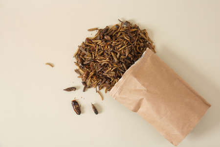 selective focus on a cockroach, dried pet feeding insects in a paper bag, mix of insects on a beige background, insectivorous animals need proteinの写真素材