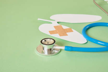 human lungs cut out of white paper and a stethoscope top view, adhesive plaster on the lungs, pain in the respiratory organs conceptの写真素材