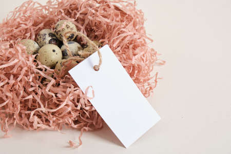 quail eggs and mock up blank label in shredded wrapping paper on light texture background copy spaceの写真素材