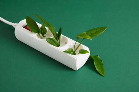 white surge protector with a red power button and green leaves of a plant on a green background,...
