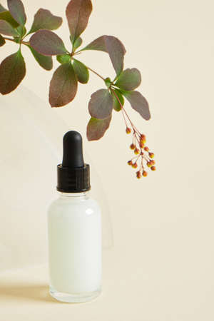 green serums in a transparent dropper bottle with avocado extract and a branch with green leaves and flower buds on a beige background, natural cosmetics and skin careの写真素材