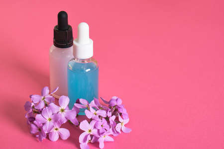 pink flowers and cosmetic serum for skin care in a transparent dropper bottle on bright pink background copy space top view mock upの写真素材