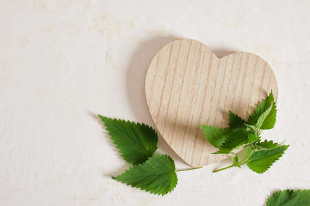 wooden heart shaped podium and nettle leaves, organic product presentationの写真素材